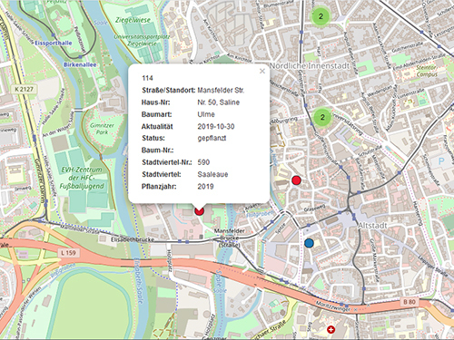 Ausschnitt aus der Patenbaum-Karte. Ein Pin wurde angeklickt und zeigt nun die wesentlichen Infos des Baumes in der Mansfelder Straße.